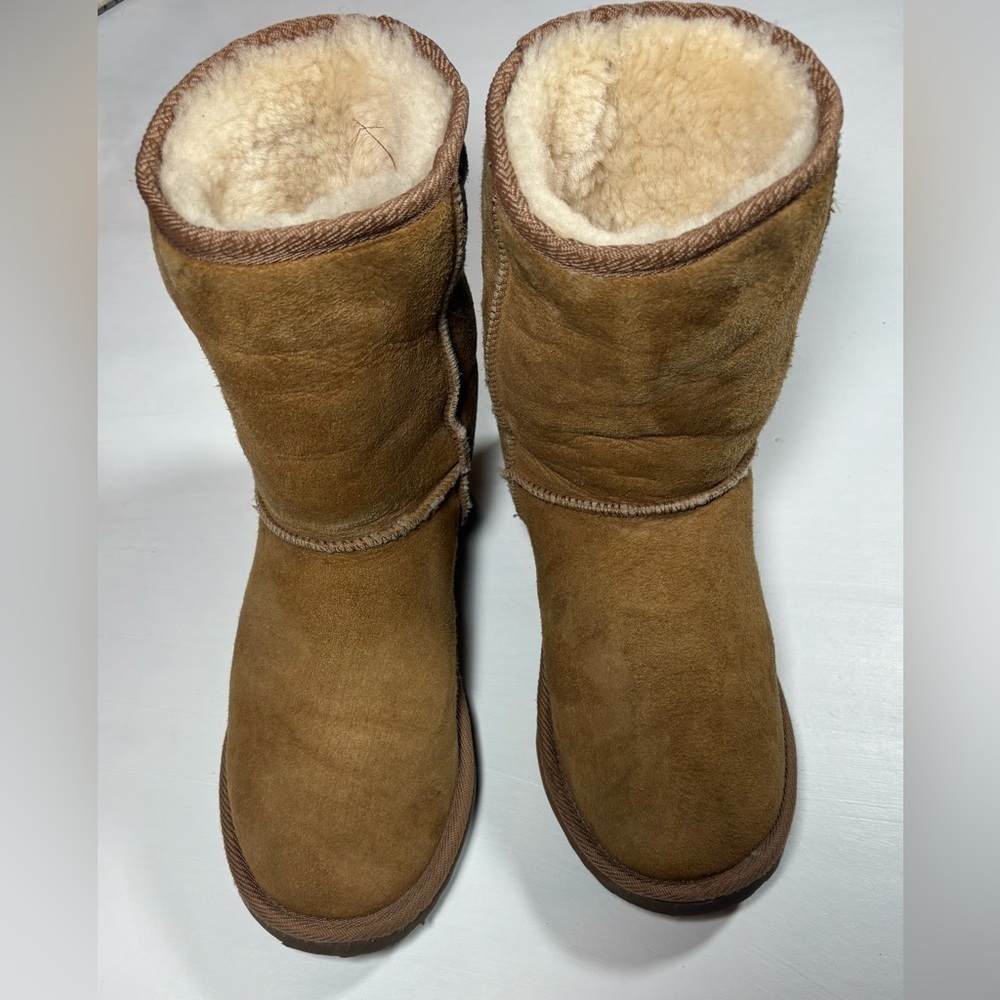 Emu Tan Shearling Winter Boots